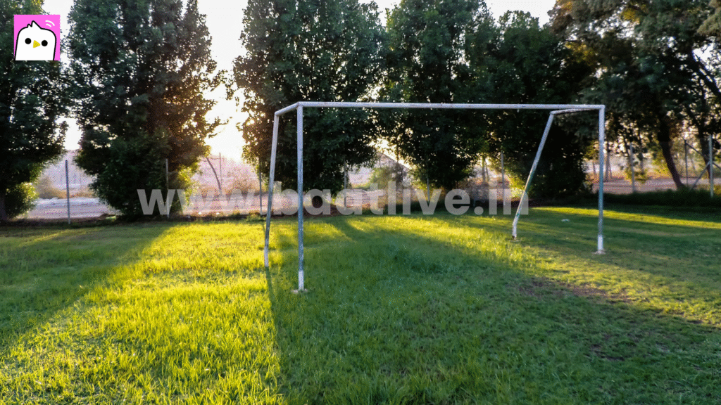 Helping Hosts’ Outdoor Streams as Baat Live Agents